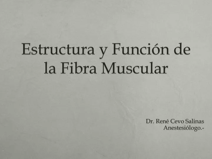 estructura y funci n de la fibra muscular