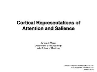 Cortical Representations of Attention and Salience