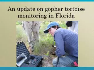 An update on gopher tortoise monitoring in Florida