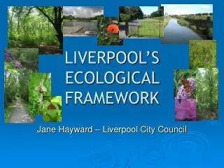 LIVERPOOL’S ECOLOGICAL FRAMEWORK