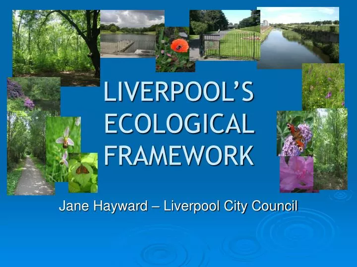 liverpool s ecological framework