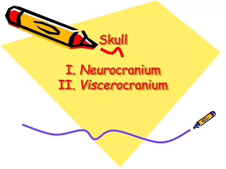 skull i neuro cranium ii viscero cranium
