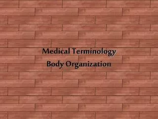 Medical Terminology Body Organization