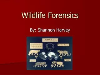 Wildlife Forensics