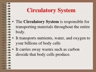 circulatory system