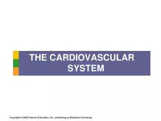 THE CARDIOVASCULAR SYSTEM