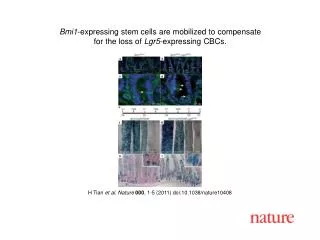 H Tian et al . Nature 000 , 1 - 5 (2011) doi:10.1038/nature10408