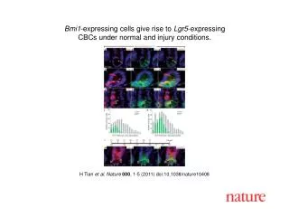 H Tian et al . Nature 000 , 1 - 5 (2011) doi:10.1038/nature10408