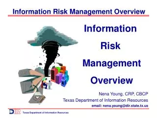 Information Risk Management Overview