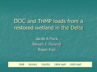 DOC and THMP loads from a restored wetland in the Delta
