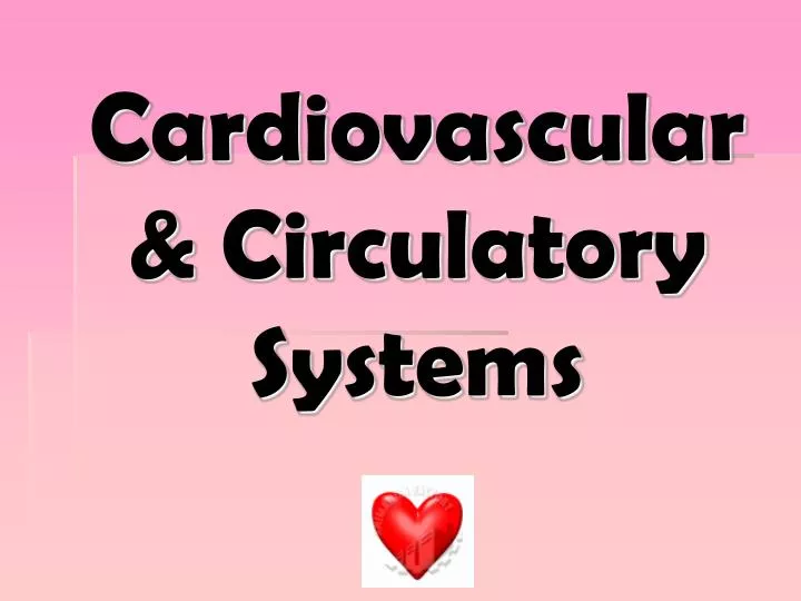 cardiovascular circulatory systems