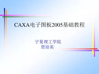 caxa 2005