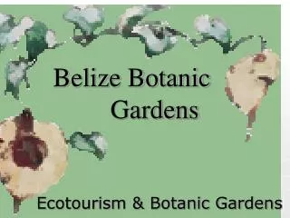 Belize Botanic 		 	Gardens