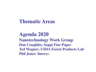 Thematic Areas Agenda 2020 Nanotechnology Work Group Dan Coughlin; Sappi Fine Paper