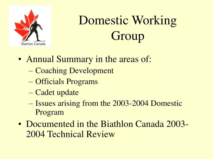 domestic working group