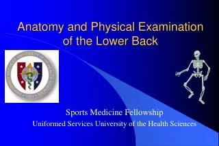 Anatomy and Physical Examination of the Lower Back