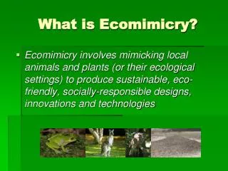 What is Ecomimicry?