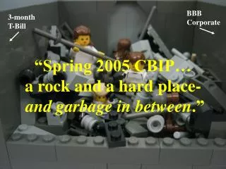 “Spring 2005 CBIP… a rock and a hard place- and garbage in between .”