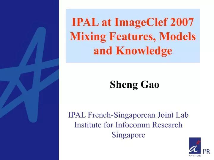 ipal at imageclef 2007 mixing features models and knowledge