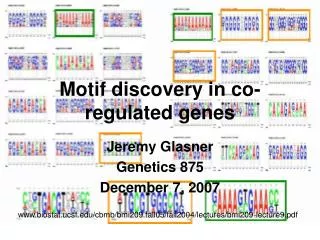 Motif discovery in co-regulated genes