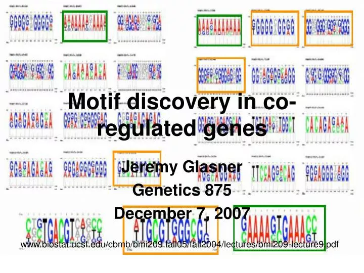 motif discovery in co regulated genes