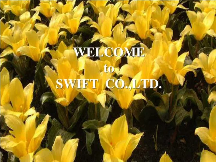 welcome to swift co ltd