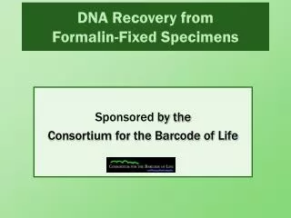 DNA Recovery from Formalin-Fixed Specimens