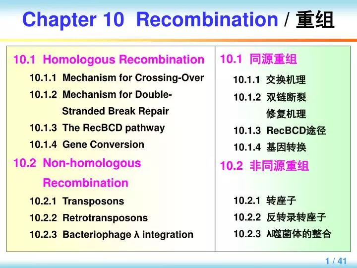 chapter 10 recombination