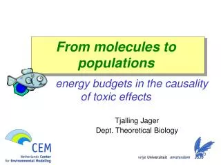 From molecules to populations energy budgets in the causality of toxic effects