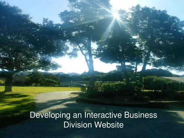 developing an interactive business division website