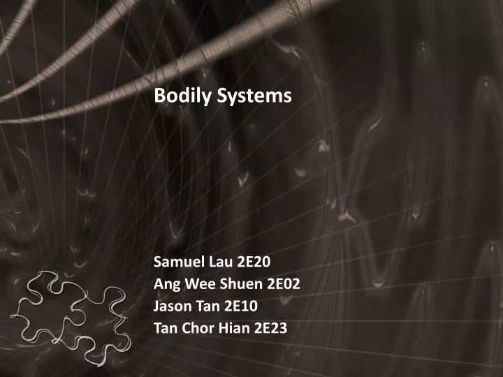 bodily systems