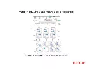 CG Guo et al . Nature 000 , 1 - 7 (2011) doi:10.1038/nature10495