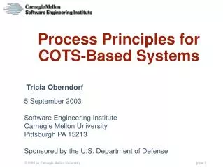 Process Principles for COTS-Based Systems