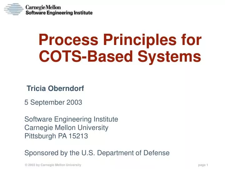 process principles for cots based systems