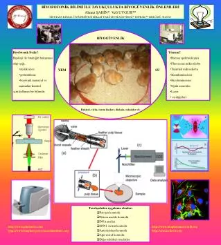 BÄ°YOFOTONÄ°K BÄ°LÄ°MÄ° Ä°LE TAVUKÃ‡ULUKTA BÄ°YOGÃœVENLÄ°K Ã–NLEMLERÄ° Ahmet ÅžAHÄ°N* Veli UYGUR**