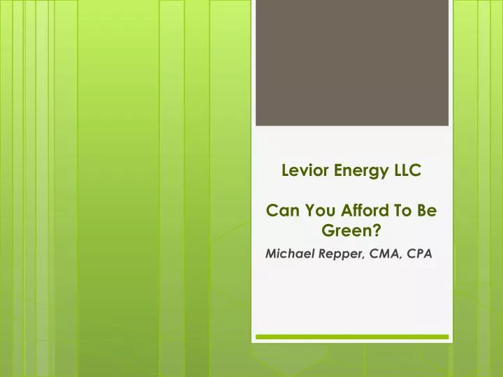 levior energy llc can you afford to be green