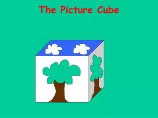The Picture Cube
