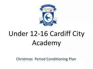 Under 12-16 Cardiff City Academy