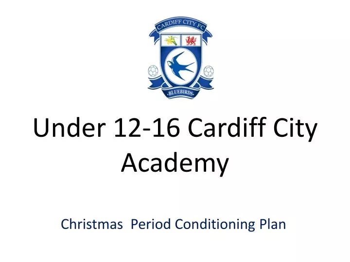 under 12 16 cardiff city academy