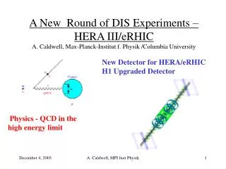 Physics - QCD in the high energy limit