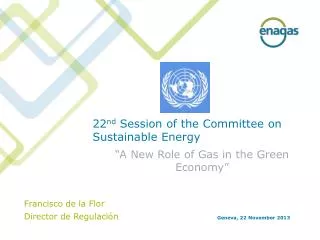 22 nd Session of the Committee on Sustainable Energy