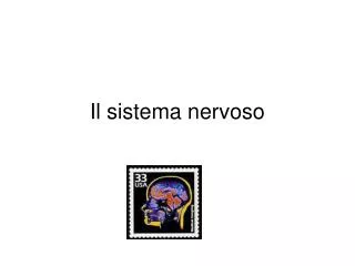 il sistema nervoso