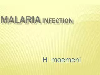 malaria infection