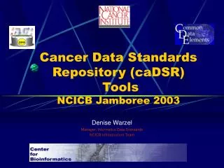 Cancer Data Standards Repository (caDSR) Tools NCICB Jamboree 2003