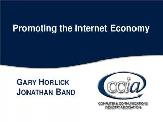 Promoting the Internet Economy