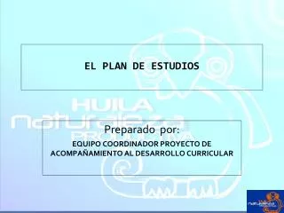 el plan de estudios