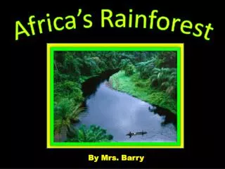 Africa’s Rainforest