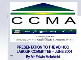 PRESENTATION TO THE AD HOC LABOUR COMMITTEE – JUNE 2004 By Mr Edwin Molahlehi