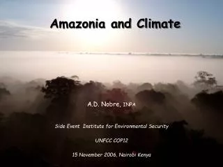Amazonia and Climate