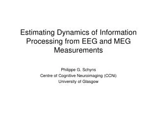 Estimating Dynamics of Information Processing from EEG and MEG Measurements